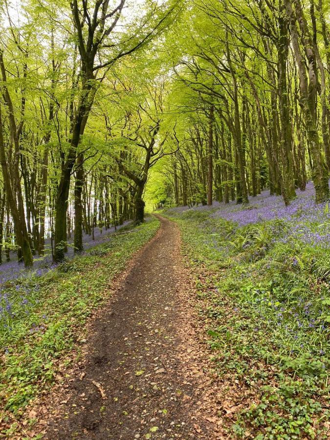 Oak House Laois B&B Portarlington Luaran gambar